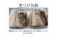 プロ食材 サバフィーレ 5kg