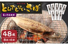 【6ヶ月定期便】とんでもない鯖(鯖文化干し8枚×6回) サバ 鯖 干物 さかな 魚 