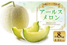 アールスメロン 約8kg （4～6玉） 【2025年10月下旬より発送開始】