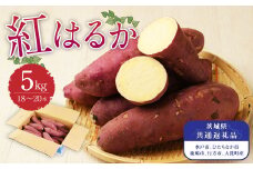 茨城県産 さつまいも【紅はるか】5kg （茨城県共通返礼品・水戸市、ひたちなか市、鹿嶋市、行方市、大洗町産）  【2024年10月下旬発送開始】