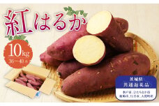 茨城県産 さつまいも【紅はるか】10kg （茨城県共通返礼品・水戸市、ひたちなか市、鹿嶋市、行方市、大洗町産） 【2024年10月下旬発送開始】