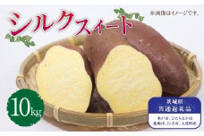 茨城県産 さつまいも【シルクスイート】10kg （茨城県共通返礼品・水戸市、ひたちなか市、鹿嶋市、行方市、大洗町産） 【2024年10月下旬発送開始】
