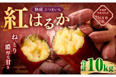 “熟成” 茨城県産 さつまいも 【 紅はるか 】 約10kg （茨城県共通返礼品・行方市産） 芋 いも サツマイモ 野菜 やさい 国産
