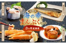 【3ヶ月定期便】 神栖市 海の幸 まんぷく セット （業務用無添加塩さば3kg・大トロサーモンハラス干し約2kg・産地がわかる寒さば水煮／産地がわかるみそ煮 各190g×6缶）