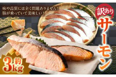 【 訳あり 】 骨取 サーモン（メラニンサーモン） 約3kg 魚 魚貝類 魚介 さかな サカナ お魚 アトランティックサーモン さけ 鮭 冷凍