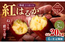 【4ヶ月定期便】“熟成”茨城県産さつまいも【紅はるか】約5kg (茨城県共通返礼品・行方市産）合計約20kg 芋 いも サツマイモ 野菜 やさい 国産