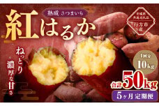 【5ヶ月定期便】“熟成”茨城県産さつまいも【紅はるか】約10kg (茨城県共通返礼品・行方市産）合計約50kg 芋 いも サツマイモ 野菜 やさい 国産
