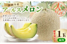 大好評!アールスメロン（1玉）化粧箱入【2024年12月上旬より発送開始】 メロン フルーツ 果物 めろん ギフト お取り寄せ クリスマス 茨城県 神栖市