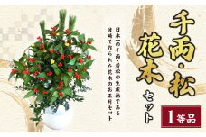 【1等品】千両・松・花木セット デラックス お正月飾り 【2024年12月下旬より順次発送開始】 正月 飾り 花木
