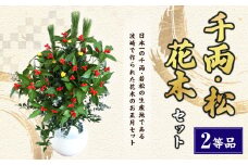 【2等品】千両・松・花木セット お正月飾り 【2024年12月下旬より順次発送開始】 正月 飾り 花木