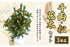 【3等品】千両・松・花木セット お正月飾り 【2024年12月下旬より順次発送開始】 お正月 正月 花木