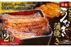 ウナギ 蒲焼き 2尾 鰻 うなぎ かば焼き 蒲焼 魚 お魚 さかな 国産