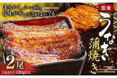 ウナギ 蒲焼き 2尾 鰻 うなぎ かば焼き 蒲焼 魚 お魚 さかな 国産