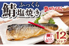 ふっくら鯖塩焼き レンジ加熱パック12食入 ｜ 鯖 サバ さば 塩焼き おかず 冷凍 茨城県 神栖市