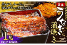 ウナギ 蒲焼き 1尾 約140g以上 鰻 うなぎ かば焼き 蒲焼 魚 お魚 さかな 国産