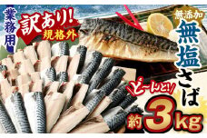 【訳あり規格外】  業務用 無添加 無塩さば どーんと!  3kg 鯖 さば サバ 魚 お魚 さかな 魚介 魚介類