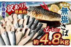 【訳あり規格外】  業務用 無添加 無塩さば どーんと! 4.8kg 鯖 さば サバ 魚 お魚 さかな 魚介 魚介類