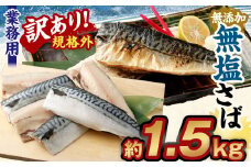 【訳あり規格外】  業務用 無添加 無塩さば 1.5kg 鯖 さば サバ 魚 お魚 さかな 魚介 魚介類