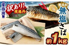 【訳あり規格外】  業務用 無添加 無塩さば 1kg 鯖 さば サバ 魚 お魚 さかな 魚介 魚介類