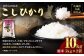 【令和6年産】 茨城県産 こしひかり 精米 10kg （5kg×2）