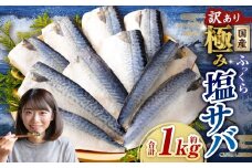 【訳あり】国産 ふっくら 極み塩サバ 計約1kg ／ 1切れ 塩サバ 塩さば 塩鯖 さば サバ 鯖 魚