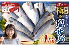 【数量限定さばみりん干し1切付】【訳あり】国産 ふっくら 極み塩サバ 計約1kg ／ 1切れ 塩サバ 塩さば 塩鯖 さば サバ 鯖 魚
