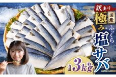【訳あり】国産 ふっくら 極み塩サバ 計約3kg ／ 1切れ 塩サバ 塩さば 塩鯖 さば サバ 鯖 魚