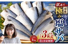 【3ヶ月定期便】【訳あり】国産 ふっくら 極み塩サバ 計約1kg ／ 1切れ 塩サバ 塩さば 塩鯖 さば サバ 鯖 魚