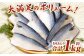【3ヶ月定期便】【訳あり】国産 ふっくら 極み塩サバ 計約1kg