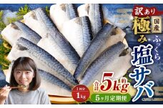 【5ヶ月定期便】【訳あり】国産 ふっくら 極み塩サバ 計約1kg ／ 1切れ 塩サバ 塩さば 塩鯖 さば サバ 鯖 魚