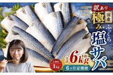 【6ヶ月定期便】【訳あり】国産 ふっくら 極み塩サバ 計約1kg ／ 1切れ 塩サバ 塩さば 塩鯖 さば サバ 鯖 魚