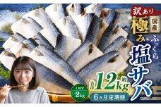 【6ヶ月定期便】【訳あり】国産 ふっくら 極み塩サバ 計約2kg ／ 1切れ 塩サバ 塩さば 塩鯖 さば サバ 鯖 魚