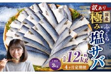 【4ヶ月定期便】【訳あり】国産 ふっくら 極み塩サバ 計約3kg ／ 1切れ 塩サバ 塩さば 塩鯖 さば サバ 鯖 魚