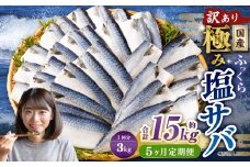【5ヶ月定期便】【訳あり】国産 ふっくら 極み塩サバ 計約3kg ／ 1切れ 塩サバ 塩さば 塩鯖 さば サバ 鯖 魚