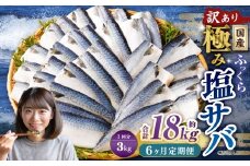 【6ヶ月定期便】【訳あり】国産 ふっくら 極み塩サバ 計約3kg ／ 1切れ 塩サバ 塩さば 塩鯖 さば サバ 鯖 魚