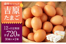 【12ヶ月定期便】濃厚プレミアム！！吉原たまご2箱 30個入り×2箱 計60個（54個＋割れ保証6個） 卵 たまご