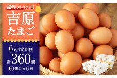 【６ヶ月定期便】濃厚プレミアム！！吉原たまご2箱 30個入り×2箱 計60個（54個＋割れ保証6個） 卵 たまご