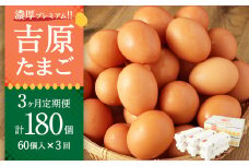 【3ヶ月定期便】濃厚プレミアム！！吉原たまご2箱 30個入り×2箱 計60個 （54個＋割れ保証6個） 卵 たまご