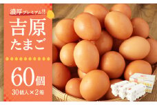 濃厚プレミアム！！吉原たまご2箱  30個入り×2箱 計60個（54個＋割れ保証6個） 卵 たまご