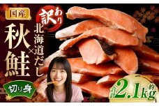 ［訳あり］ 国産秋鮭 北海道だし切り身 約2.1kg ／ 鮭 しゃけ シャケ 秋鮭 天然秋鮭 切身 切り身 鮭節 かじか 昆布 しいたけ ブレンド 出汁 だし 出汁入り鮭 冷凍