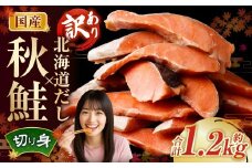 ［訳あり］ 国産秋鮭 北海道だし切り身 約1.2kg ／ 鮭 しゃけ シャケ 秋鮭 天然秋鮭 切身 切り身 鮭節 かじか 昆布 しいたけ ブレンド 出汁 だし 出汁入り鮭 冷凍