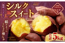 “熟成” 茨城県産 さつまいも 【 シルクスイート 】 約5kg （茨城県共通返礼品・行方市産） 芋 いも サツマイモ 野菜 やさい 国産