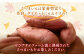 【 訳あり 】“熟成” 茨城県産 さつまいも 【 シルクスイート 】 約10kg 