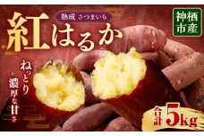 “熟成” 茨城県産 神栖市産 さつまいも 【 紅はるか 】 約5kg 芋 いも サツマイモ 野菜 やさい 国産 