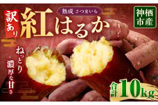 【 訳あり 】“熟成” 茨城県産 神栖市産 さつまいも 【 紅はるか 】 約10kg 芋 いも サツマイモ 野菜 やさい 国産