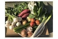 【12ヶ月定期便】自然栽培野菜10～12品目（3・4月は玄米5kg）野菜 米 玄米 詰合せ