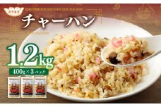 東京食堂のチャーハン どーんと 約1.2kg 炒飯 チャーハン 中華 中華惣菜 惣菜 お惣菜 ご飯 急速冷凍 レンジ調理