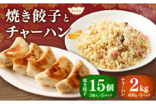 東京食堂のチャーハンと焼き餃子（各5パック）合計10パック 2種 セット 冷凍 餃子 ぎょうざ ギョウザ 炒飯