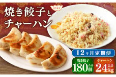 【12ヶ月定期便】東京食堂のチャーハンと焼き餃子（各5パック×12回）合計120パック 2種 セット 冷凍 餃子 ぎょうざ ギョウザ 炒飯