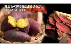 黄金色の輝き絶品【紅はるか】焼きいも（3kg）